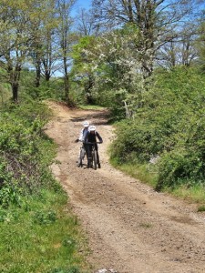 mtb